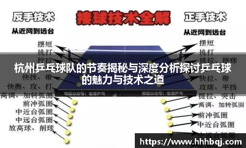 哈哈体育